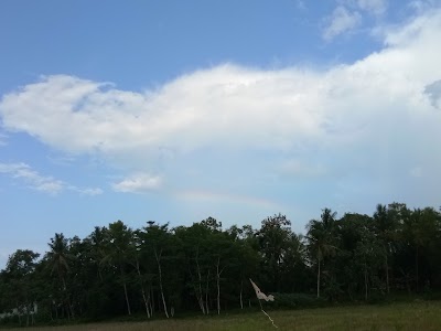 Photos of Nusantara Surya Sakti. PT