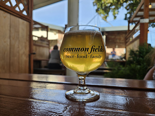 Common Fields - Visual