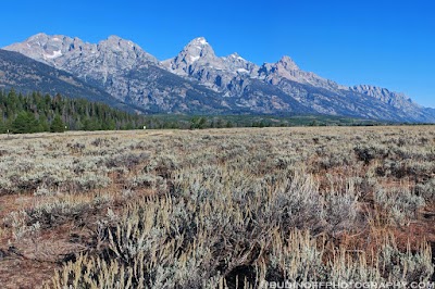Photos of Lupine Meadows Trailhead