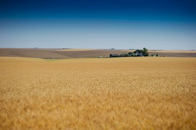 Bronco Farm Supply