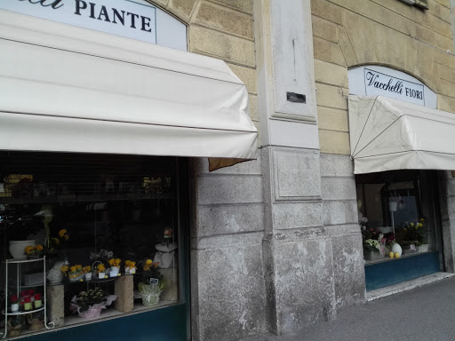 Vacchelli Piante - Visual