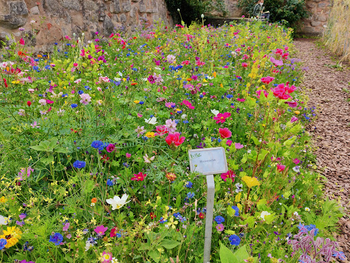 Burggarten Cadolzburg - Thumbnail