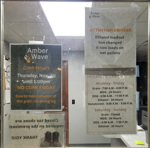 Amber Wave - Visual