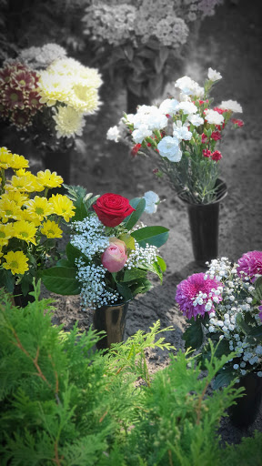 Blumenladen Maiglöckchen Simone Lilge - Thumbnail