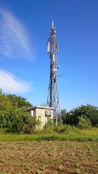Photos of Asnet
