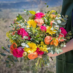 Photo n°41 de L'Arrosoir à Locquirec (Livraison de fleurs)