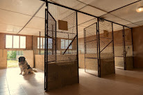 Pension chiens et chats Charton Gérard Et Laure SAS à Saint-Hilaire-les-Andrésis