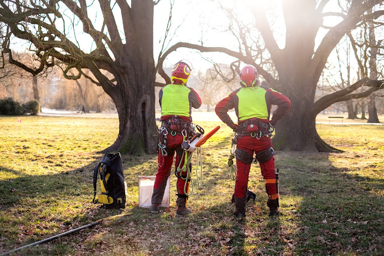 Beaver Bros Tree & Landscape LLC (Sun Prairie, WI 53590)