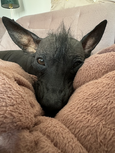 Zakątek fryzur, stylu i koloru. Bernadetta Trzaskowska