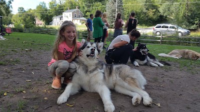 Plumery Tails Malamute Ranch