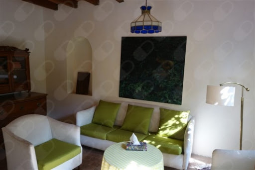 Eva Merkel psicologia Clinica