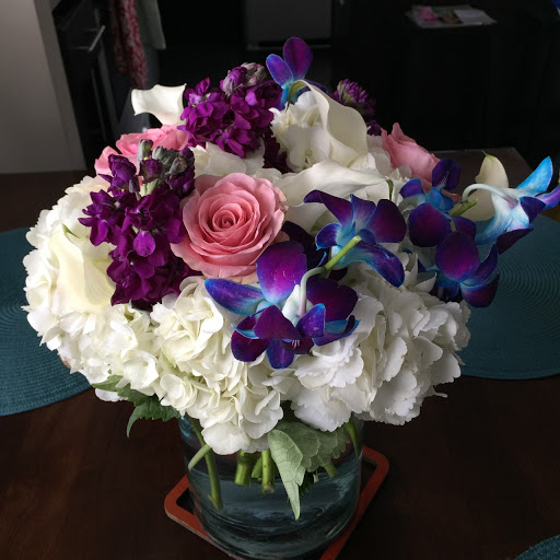 Flower Galaxy - Visual