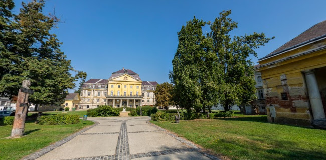 Dr. Batthyány-Strattmann László Múzeum - Múzeum
