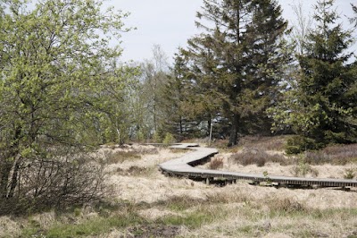 Photos of Kapelle Fischbach