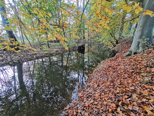 Redener Weg - Thumbnail