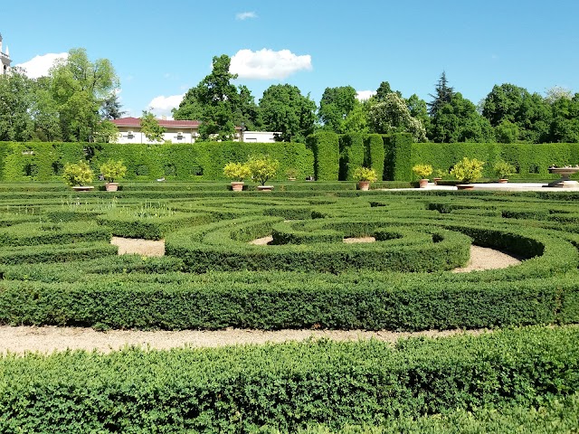Place around image