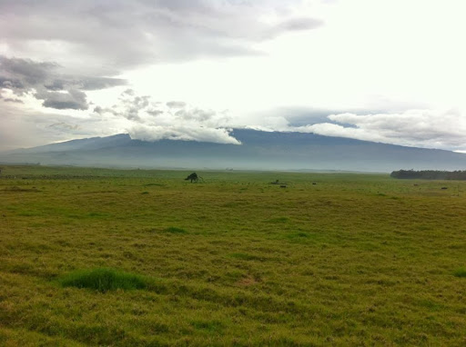 Avatar for Big Island Handyman Services