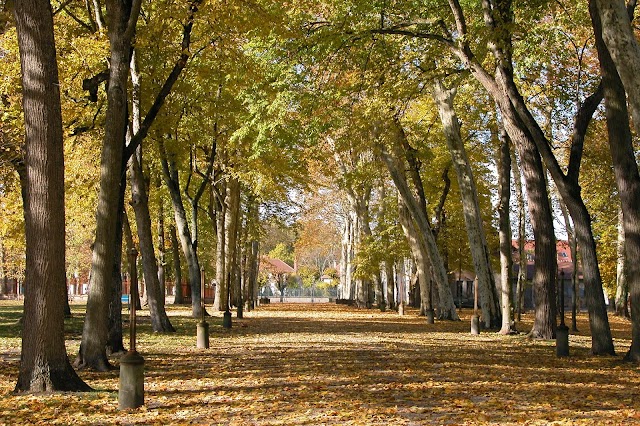 Domaine Royal de Randan