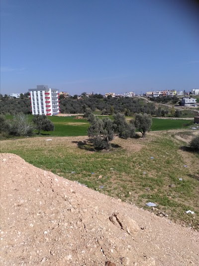 Photos of DEVECİ TOPTAN MARKET