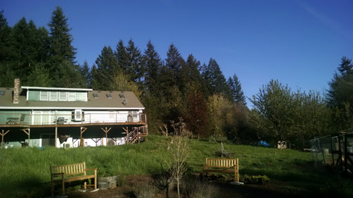 Tilde School