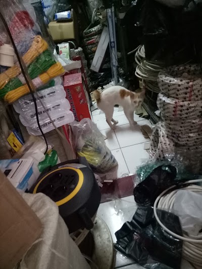 store
