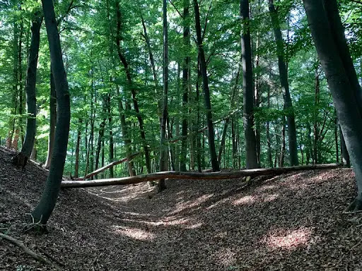Burgstall Hunberg