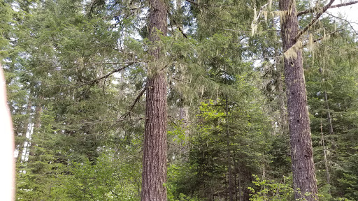 Atkisson Group Camp Gallery - United States
