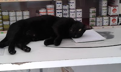 Photos of Veterinary Clinic Alcosa