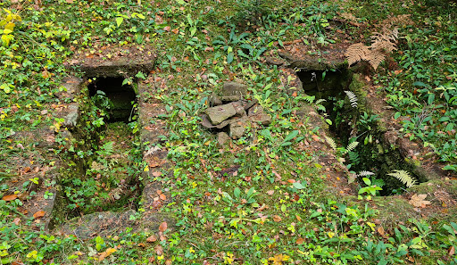 Alemannengräber - Thumbnail