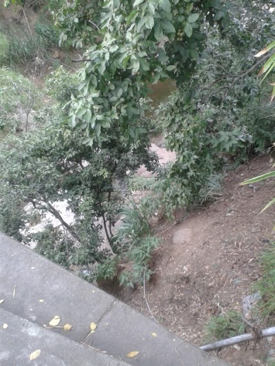 Photos of Las Iguanas Park