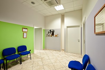 Photos of Ambulatorio Veterinario Piazza Tricolore Formigine