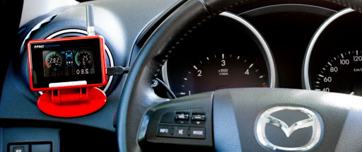 TPMS PROFESSIONAL - Visual
