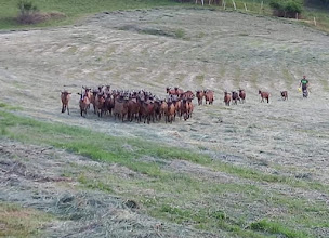 Photo n°37 de La Chèvrerie des Arcosses à Villarodin-Bourget (Ferme)