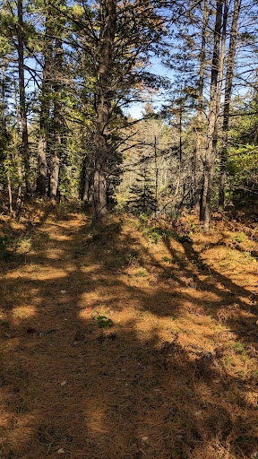 McKinley Trail Camp for the Shore to Shore Horseback and Hiking Trail - Thumbnail