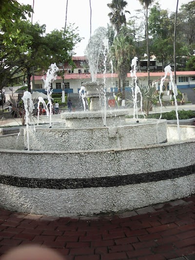 Photos of Agrotena