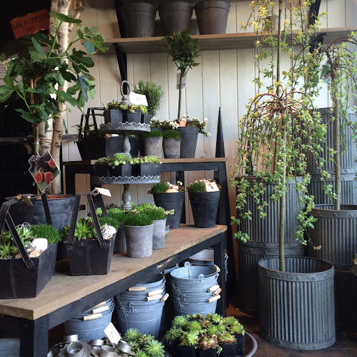 Limhamns Blomsterservice AB - Thumbnail