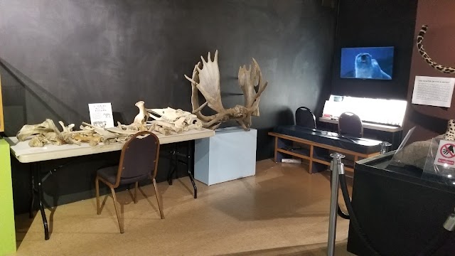 Alaska Museum of Science and Nature