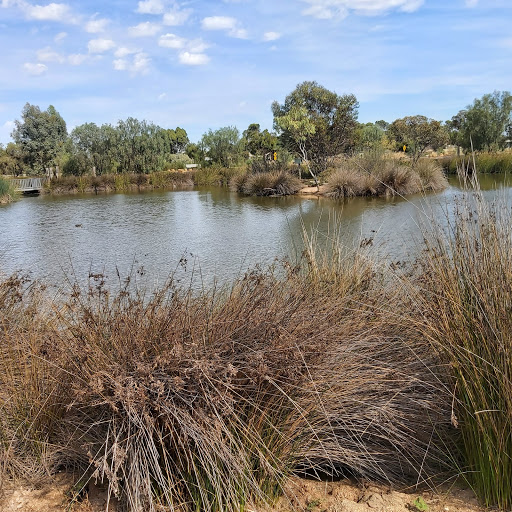 Pinnaroo Wetlands