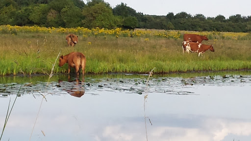 Boerderijcamping Het Boltsebroek - Thumbnail
