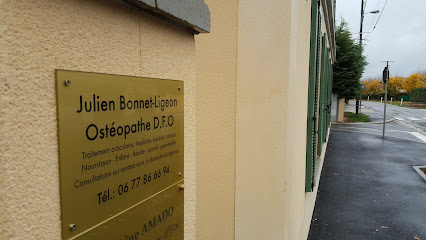 Julien Bonnet-Ligeon Ostéopathe 77 Cabinet et Domicile Urgence Neufmoutiers en brie