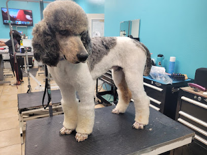 My Little Pet Salon INC