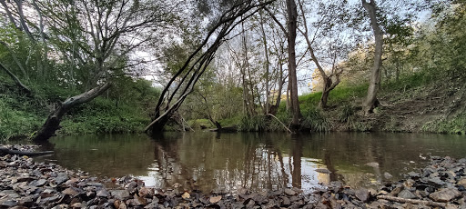 Kilkivan Avenue Park (North) - Thumbnail