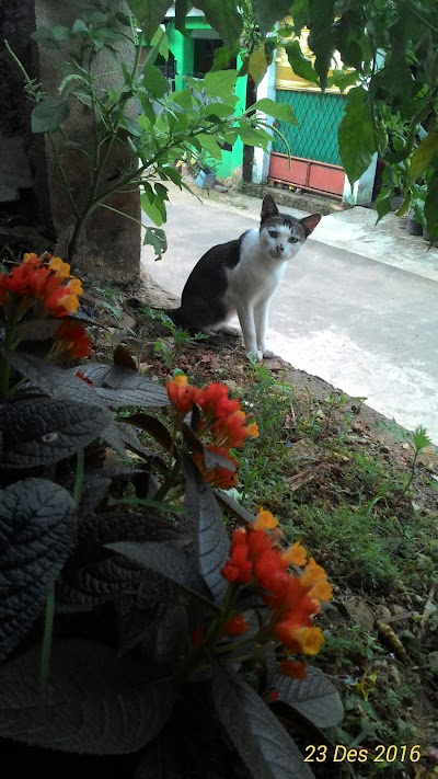 Photos of TPA NURUL FALAH