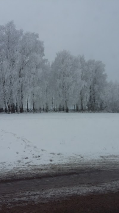 Photos of Кафе "Жарден"