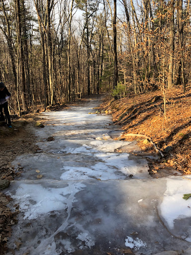 Noon Hill Reservation Trail Head - Thumbnail
