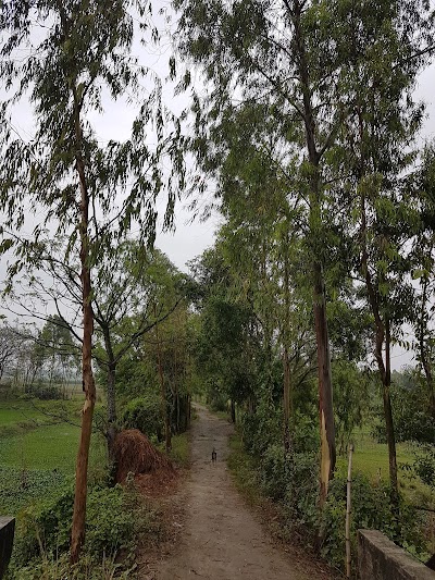 Photos of North merundi Horirampur Manikganj