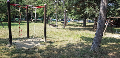 Parco Montanari - Visual
