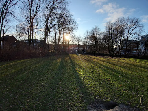 Honden uitrenveld - Thumbnail