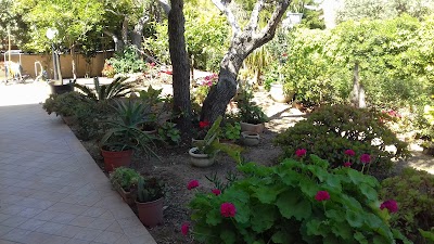 Photos of Hotel Baia del Capitano