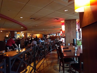 Photos of Iron Cactus Mexican Restaurant and Margarita Bar